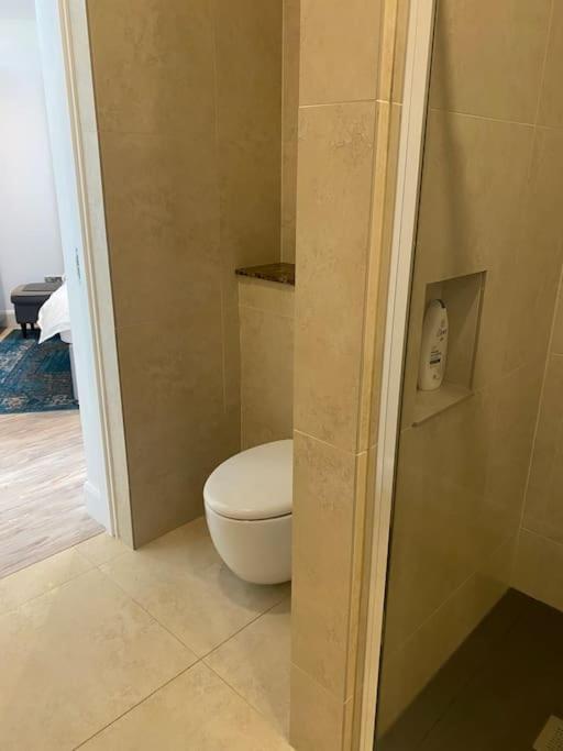 Beautiful Garden Apartment With Private Patio And Garden View Dublin Ngoại thất bức ảnh