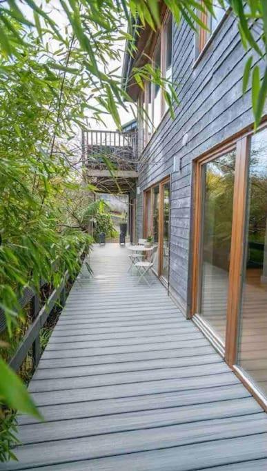 Beautiful Garden Apartment With Private Patio And Garden View Dublin Ngoại thất bức ảnh